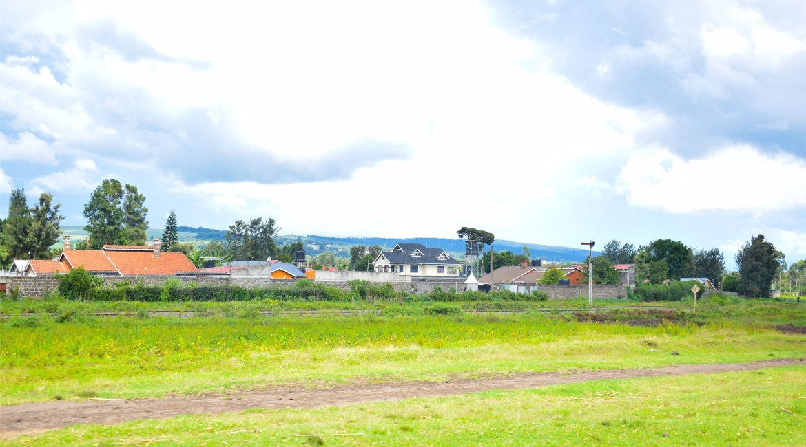 isinya6